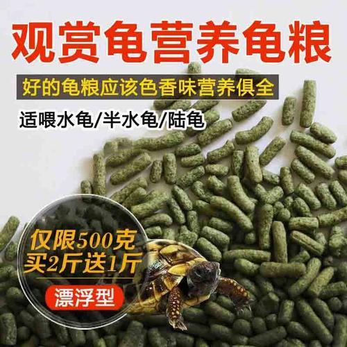 五厘米巴西龟一次喂多少饲料