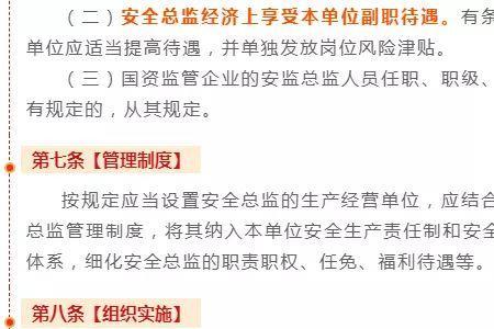 哪些单位依法应当设立安全总监
