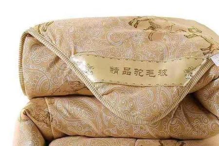 驼绒与鸭绒哪个保暖效果好