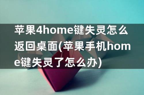 苹果14返回键有时候失灵