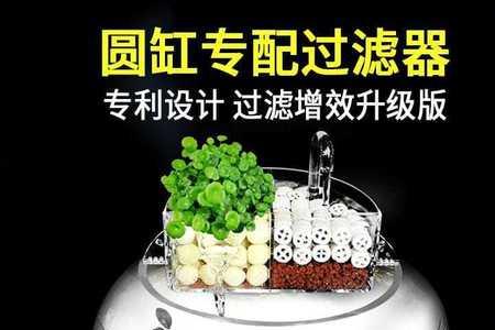 鱼缸有滴流盒还用增氧吗