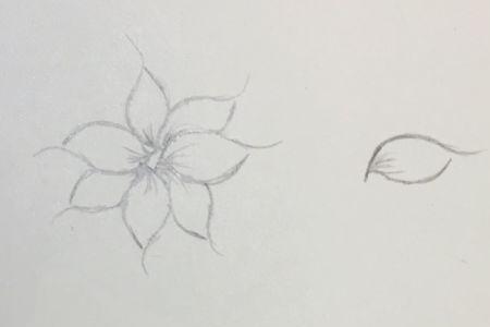 桃花眼春心眉是啥样