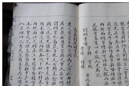 沈姓是满清后人吗