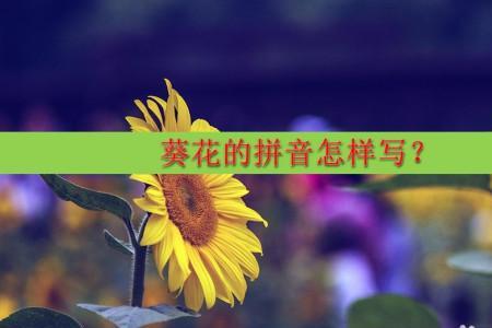 花正才的注音怎么写