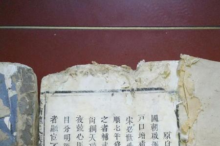 魏氏家族全部名单