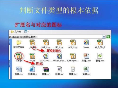 网页文件扩展名