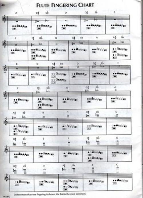 长笛升la指法怎么按