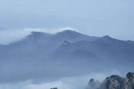 八百里为什么是牛