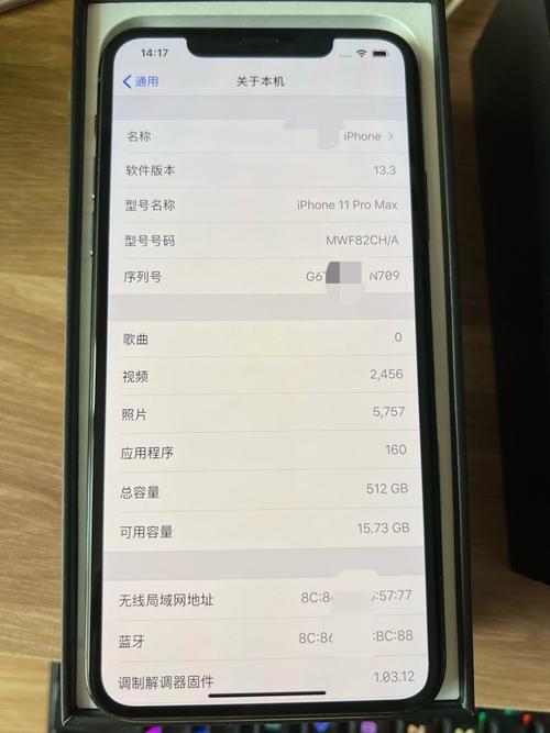 苹果11promax屏幕录制不了