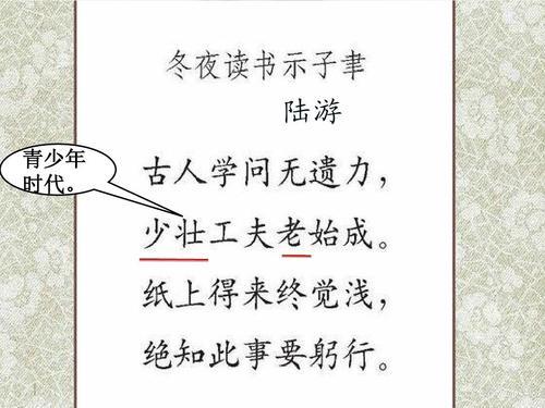 小雪古诗陆游中心思想