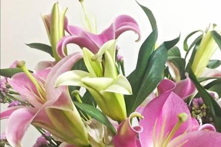 花店新鲜百合花能放冰箱保存吗