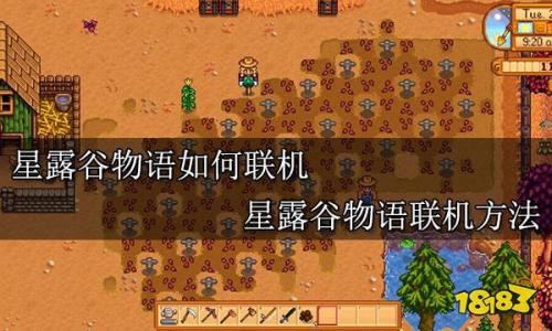星露谷物语联机老是掉线怎么办