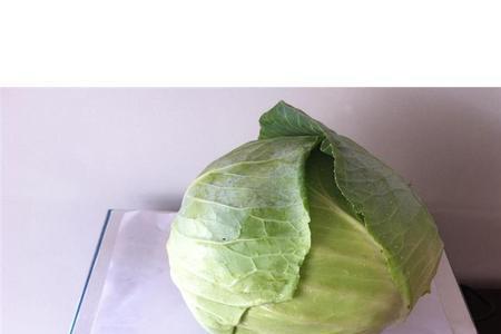 新大头菜哪个品种好