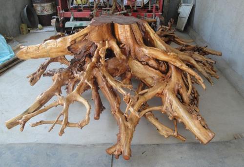 香椿木怎么处理不裂不变形