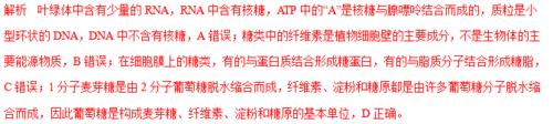 为什么核酶的基本单位有糖类