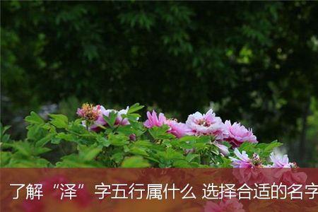 泽的地名有哪些