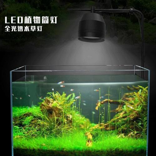大鱼缸用什么灯