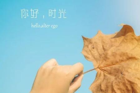 伙伴皆惊忙的惊忙意思