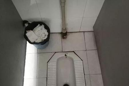 厕所all茅坑响是什么原因