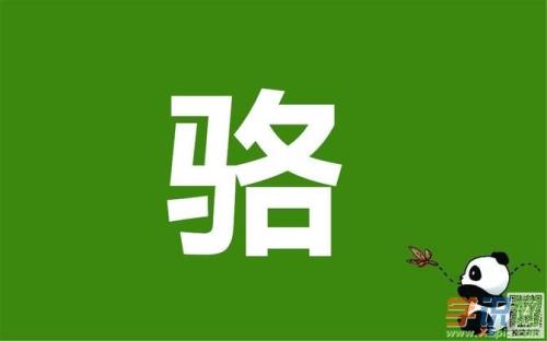 骆怎样组词