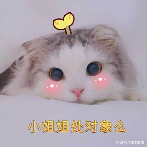 10几岁处对象正常吗