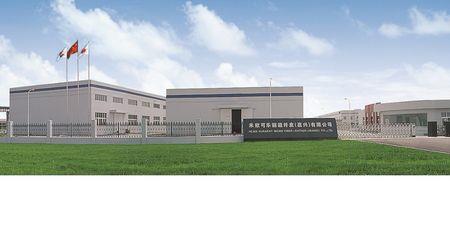 形容技术高的公司名称