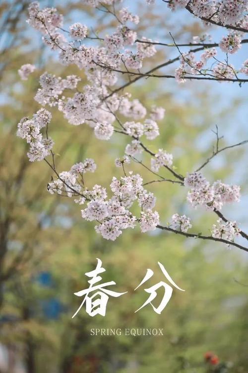 春分过后可以穿薄衣服吗