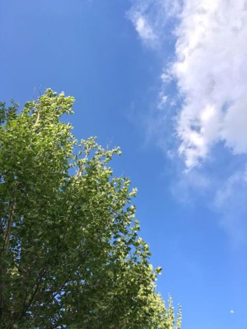 我喜欢蓝蓝的天空歌词