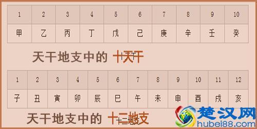 天干是谁发现的