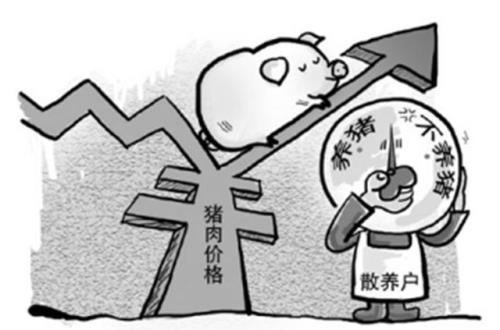 生猪价下跌的主要原因
