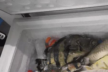 给鱼消毒时间