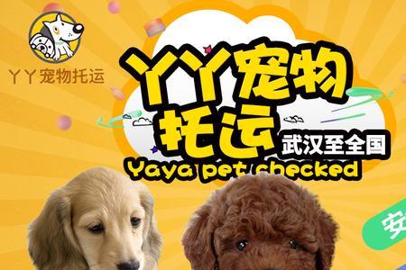 广西活物宠物怎么快递