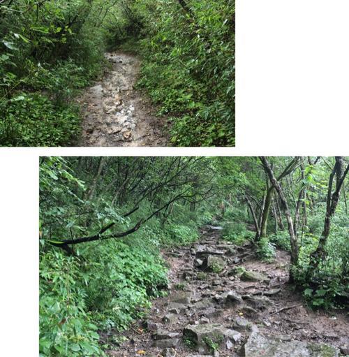 成长的路上崎岖坎坷的歌词