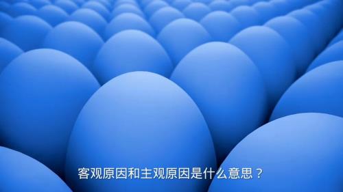 主观图什么意思