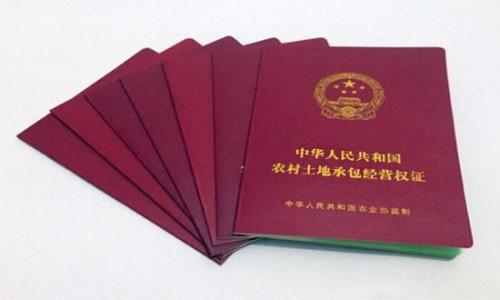 土地经营者是什么意思