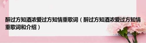 喝酒喝到醉歌词