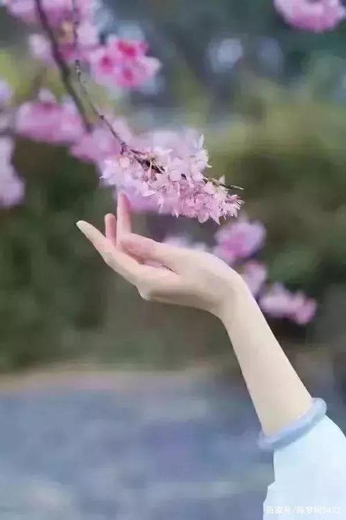 余生随意的意思是什么