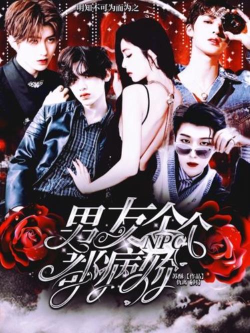 男友npc是什么意思