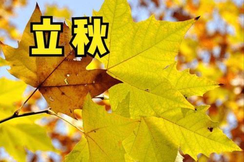 立秋是晚上八点预示什么
