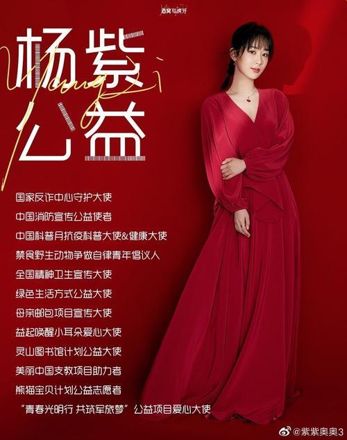 吴狄为什么选择杨紫曦