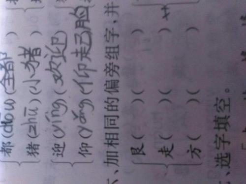 金字加偏旁组成新字
