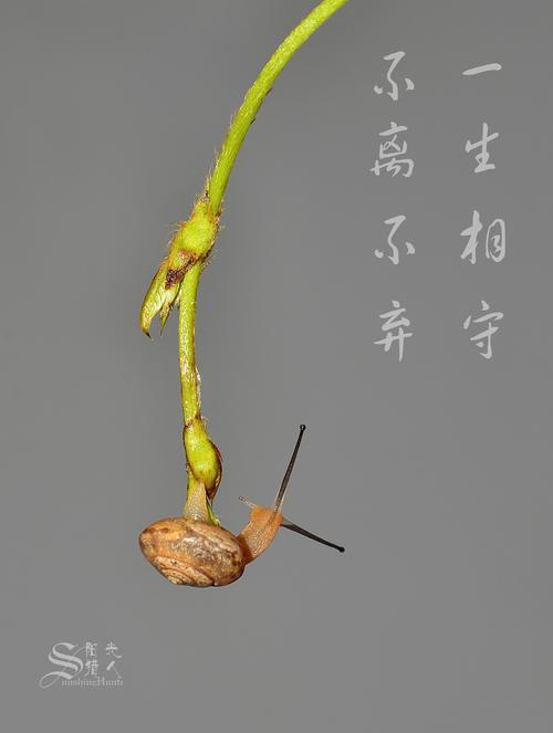 一生相守相伴一辈子歌词