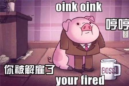 你猪死啦是什么意思