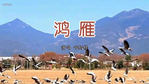鸿雁这首歌表达的意思是什么