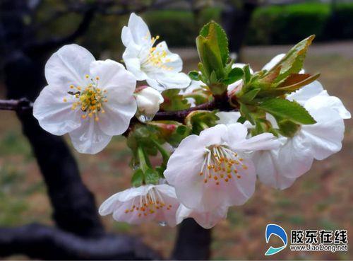沐雨春风的含义