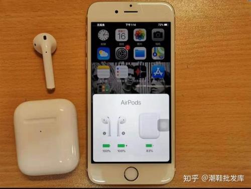 airplus丢了一只后怎样找到