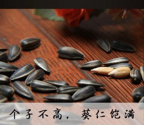 原味瓜子含盐吗