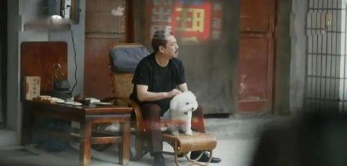 装台菊和疤叔有关系吗
