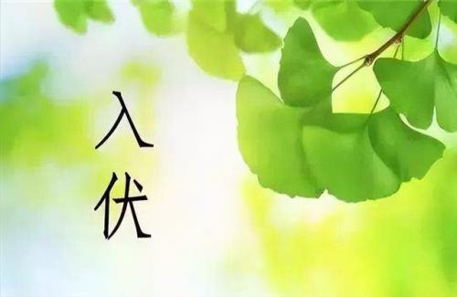 俗话说：冬天还有几天三伏天