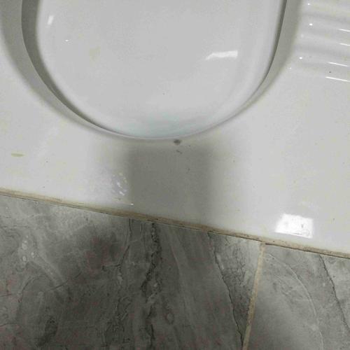 蹲便器后洞是怎么冲水的